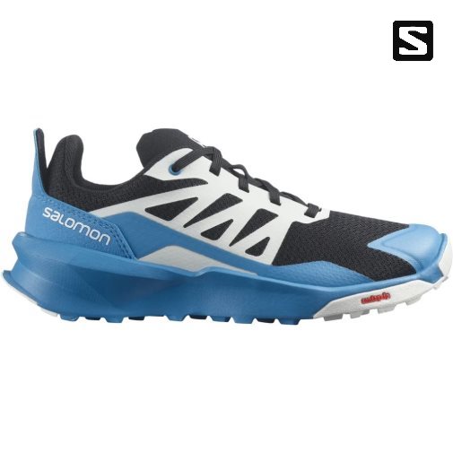 Blue / Black Salomon Patrol Kids' Hiking Shoes | IE JL1364